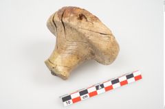 Foto von Elfenbeinschwertknauf (NHMW-PRAE-026406)
